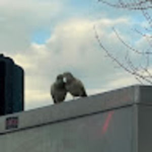 Meet your Posher, Summer